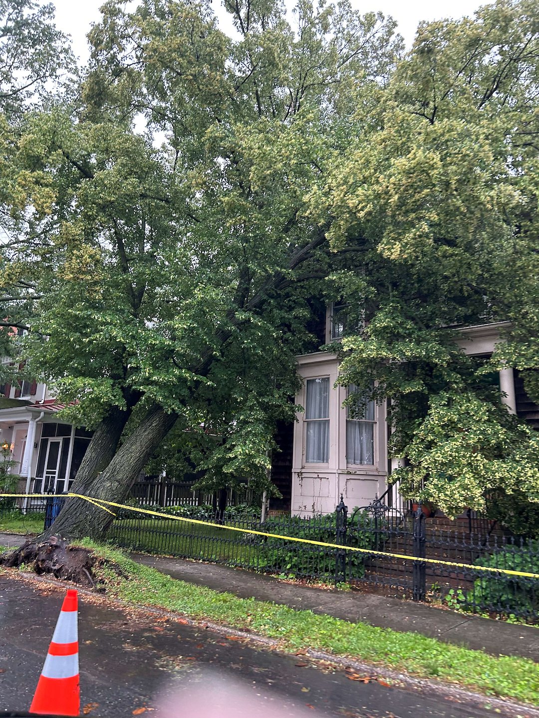 Storm Damaged Tree Removal in Centreville, MD